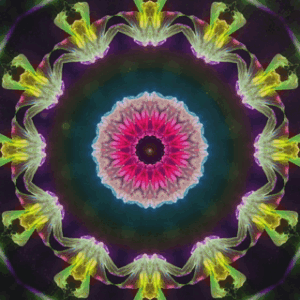 Flori astrale