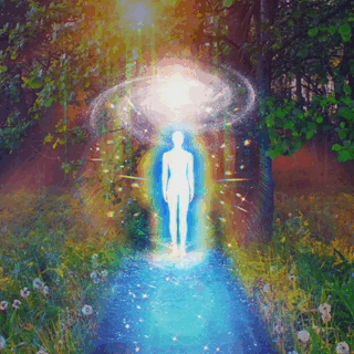 You are made by light