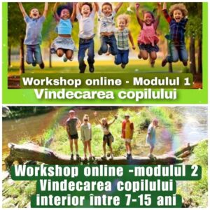 Vindecarea copilului interior Modulul 1 și 2