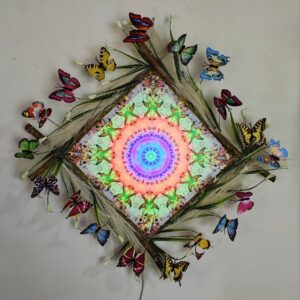 Lumea fluturilor-30 cm /stoc epuizat