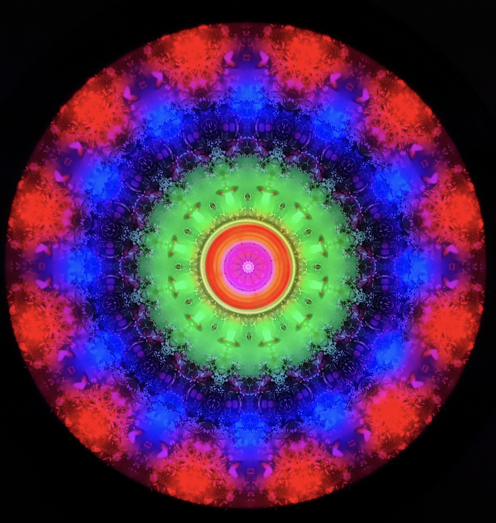 Florile pădurii-50 cm-stoc epuizat - imagine 12