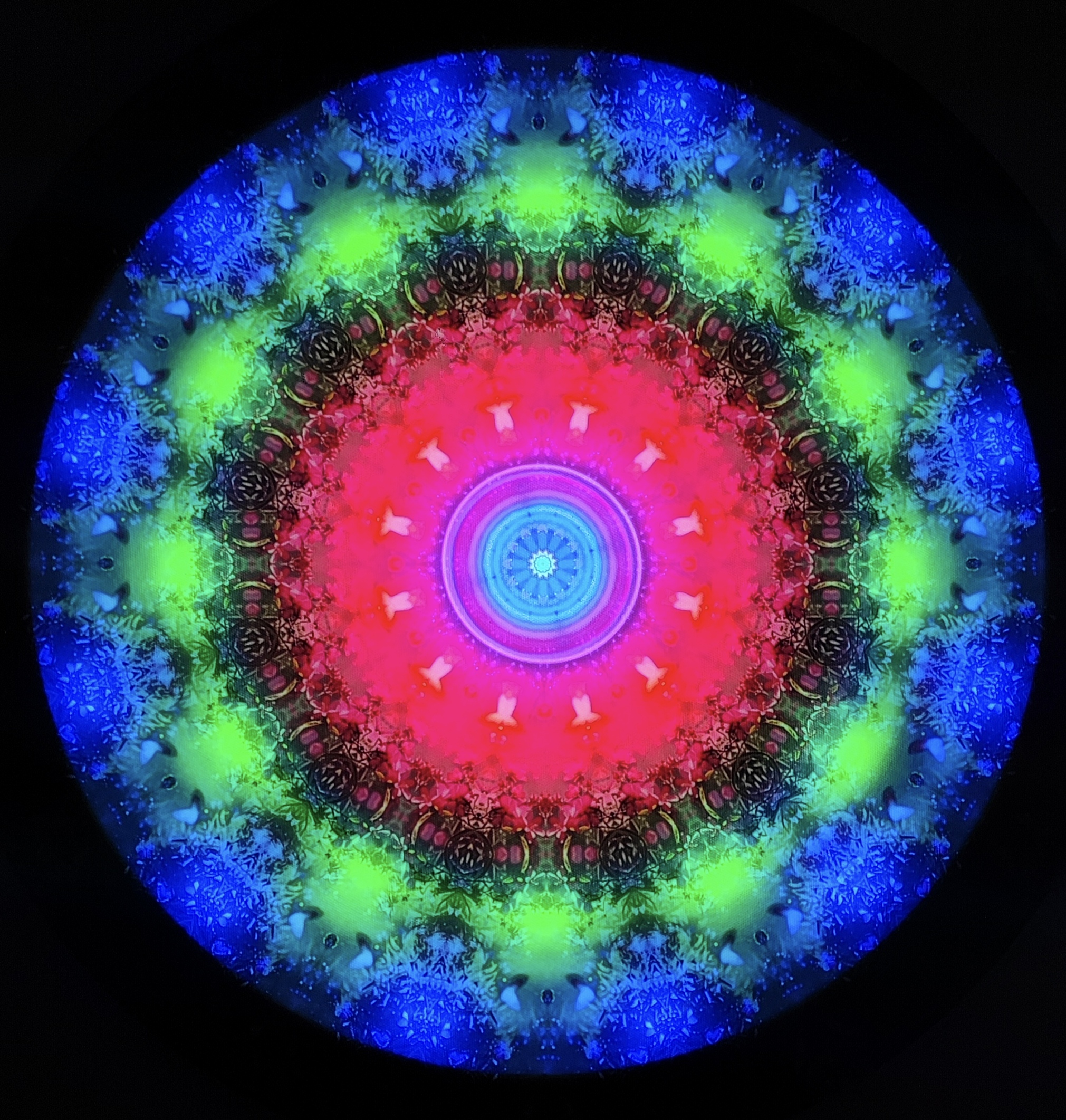 Florile pădurii-50 cm-stoc epuizat - imagine 10