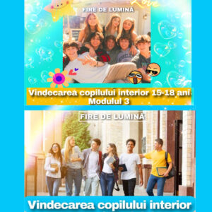 Vindecarea copilului interior Modulul 3 și 4
