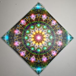 Bucuria naturii 70 cm