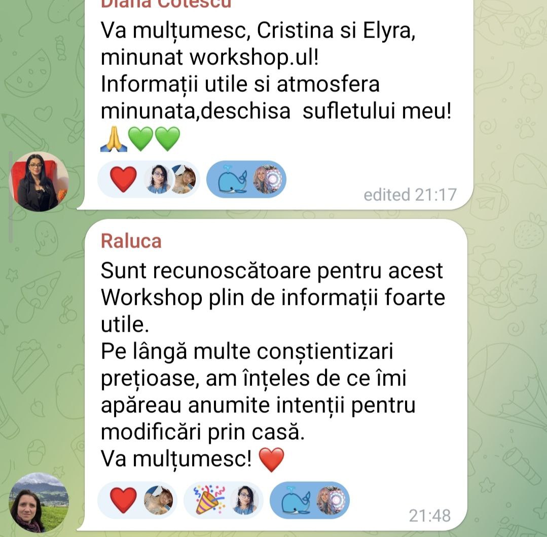 Curatarea casei prin abordarea Krystica -Modulul 1 - imagine 3